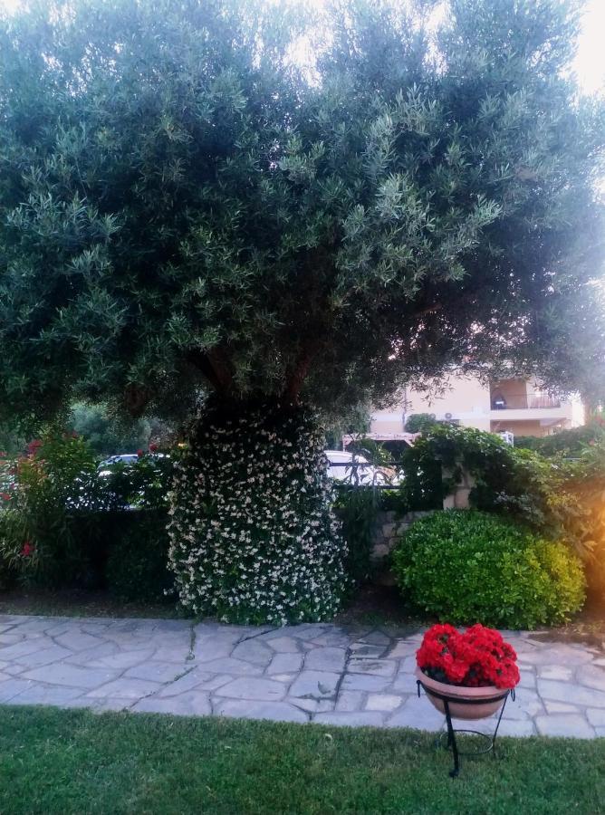 Studios Galanis Afytos Exteriér fotografie